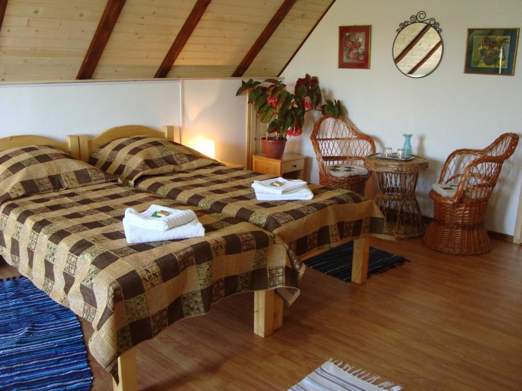 Отель Casa Dintre Salcii Uzlina Номер фото